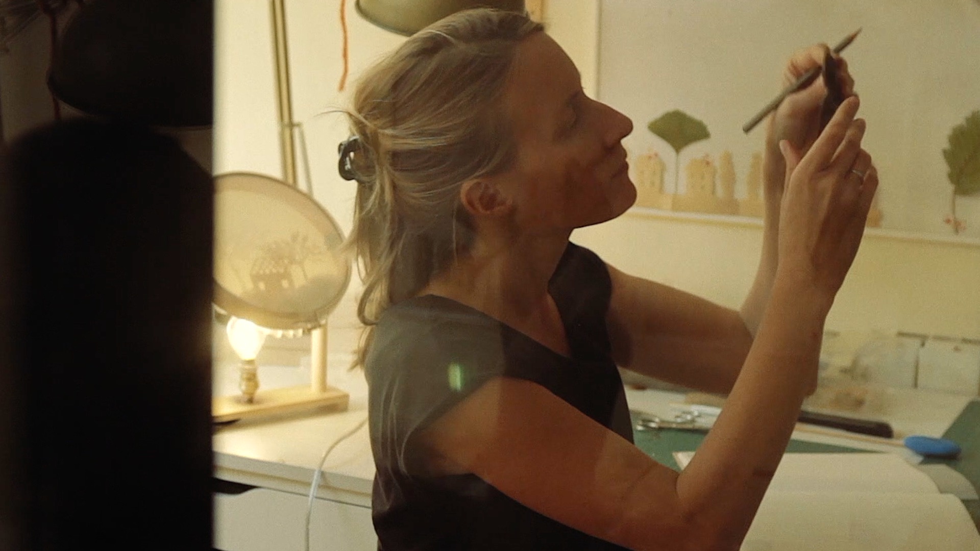 video teatro de sombras